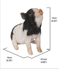 Load image into Gallery viewer, Baby Pig Sitting - Black And White
