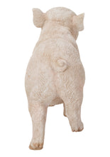 Load image into Gallery viewer, Baby Pig Standing - Pink
