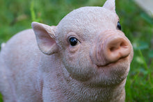 Load image into Gallery viewer, Baby Pig Standing - Pink
