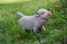 Load image into Gallery viewer, Baby Pig Standing - Pink
