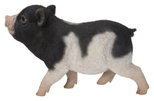 Load image into Gallery viewer, Baby Pig Standing - Black And White
