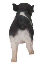 Load image into Gallery viewer, Baby Pig Standing - Black And White
