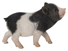 Load image into Gallery viewer, Baby Pig Standing - Black And White
