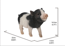 Load image into Gallery viewer, Baby Pig Standing - Black And White
