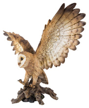 Load image into Gallery viewer, Barn Owl On Stump with Open Wings
