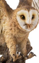 Load image into Gallery viewer, Barn Owl On Stump with Open Wings
