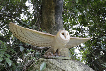 Load image into Gallery viewer, Barn Owl Flying Statue
