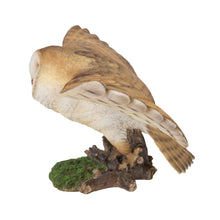Load image into Gallery viewer, Barn Owl Flying Statue
