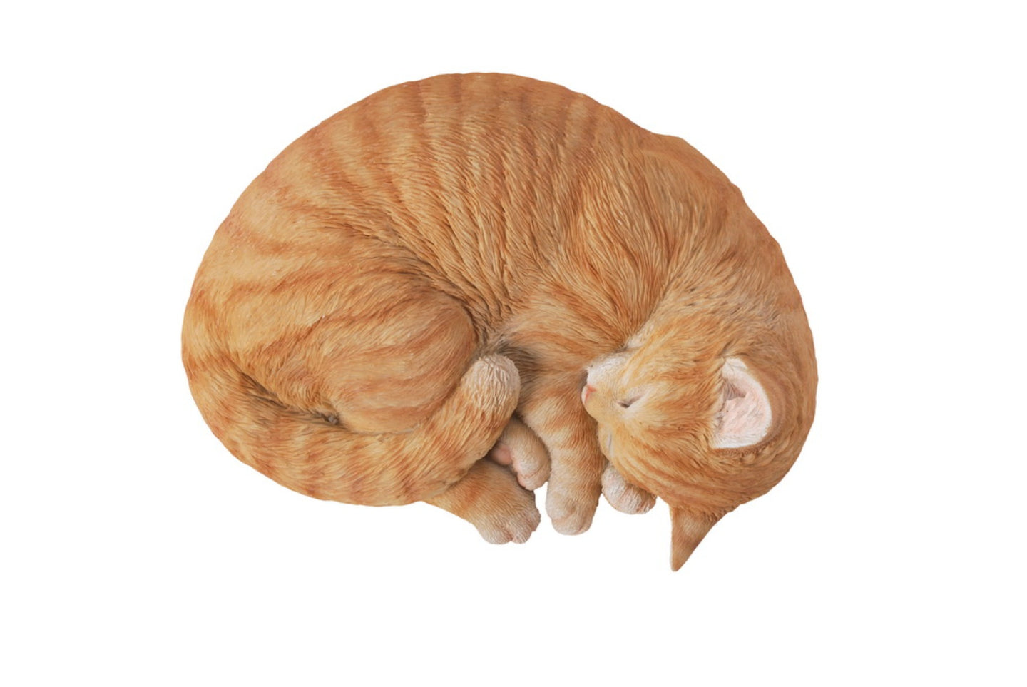 Orange Tabby Cat Sleeping Lying Down