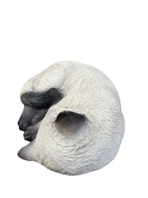 Load image into Gallery viewer, Sleeping Cat
