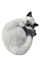 Load image into Gallery viewer, Sleeping Cat
