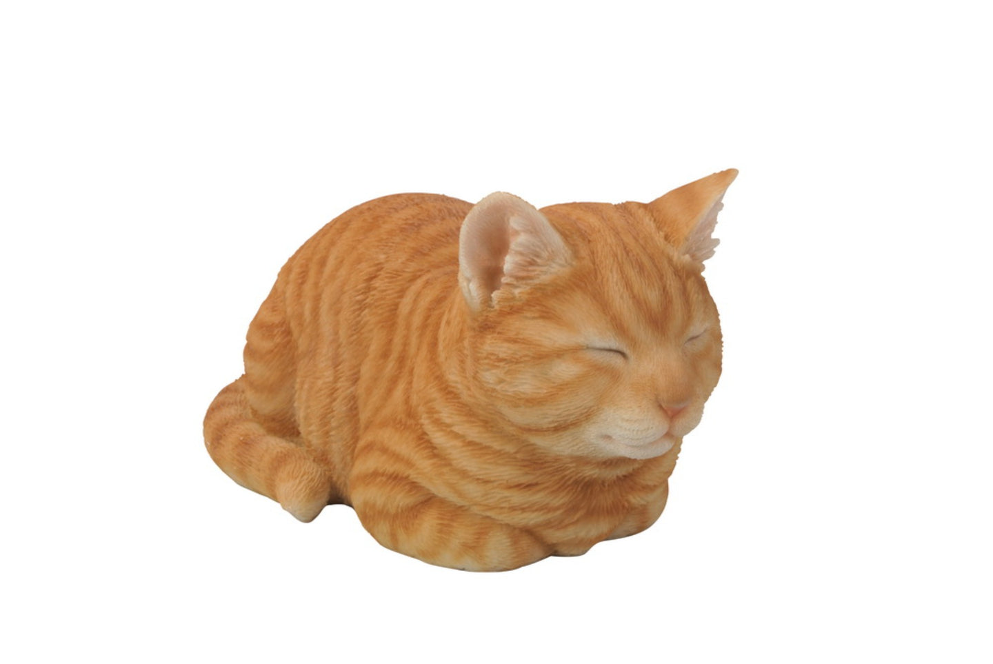 Orange Tabby Cat Sleeping