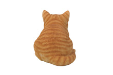 Load image into Gallery viewer, Orange Tabby Cat Sleeping

