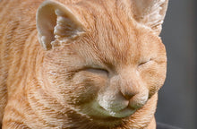 Load image into Gallery viewer, Orange Tabby Cat Sleeping
