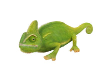 Load image into Gallery viewer, Cameleon
