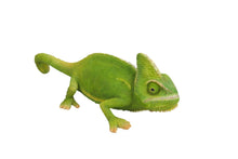 Load image into Gallery viewer, Cameleon
