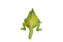 Load image into Gallery viewer, Cameleon
