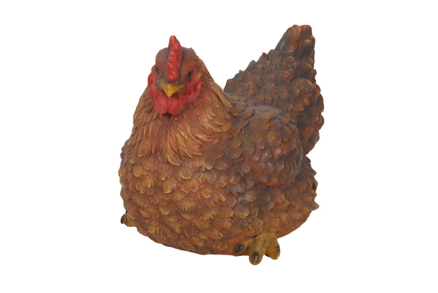 Hen Squatting