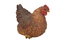 Load image into Gallery viewer, Hen Squatting
