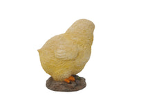 Load image into Gallery viewer, Baby Chicks Pair - One Looking Left, One Looking Right

