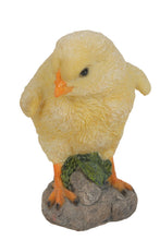 Load image into Gallery viewer, Baby Chicks Pair - One Looking Left, One Looking Right
