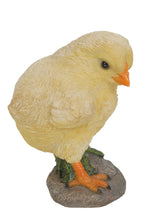 Load image into Gallery viewer, Baby Chicks Pair - One Looking Left, One Looking Right
