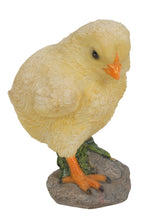 Load image into Gallery viewer, Baby Chicks Pair - One Looking Left, One Looking Right
