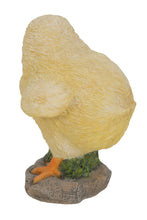 Load image into Gallery viewer, Baby Chicks Pair - One Looking Left, One Looking Right
