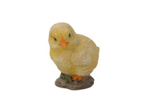 Load image into Gallery viewer, Baby Chicks Pair - One Looking Left, One Looking Right
