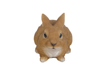 Load image into Gallery viewer, Sitting Rabbit
