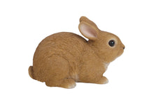 Load image into Gallery viewer, Sitting Rabbit
