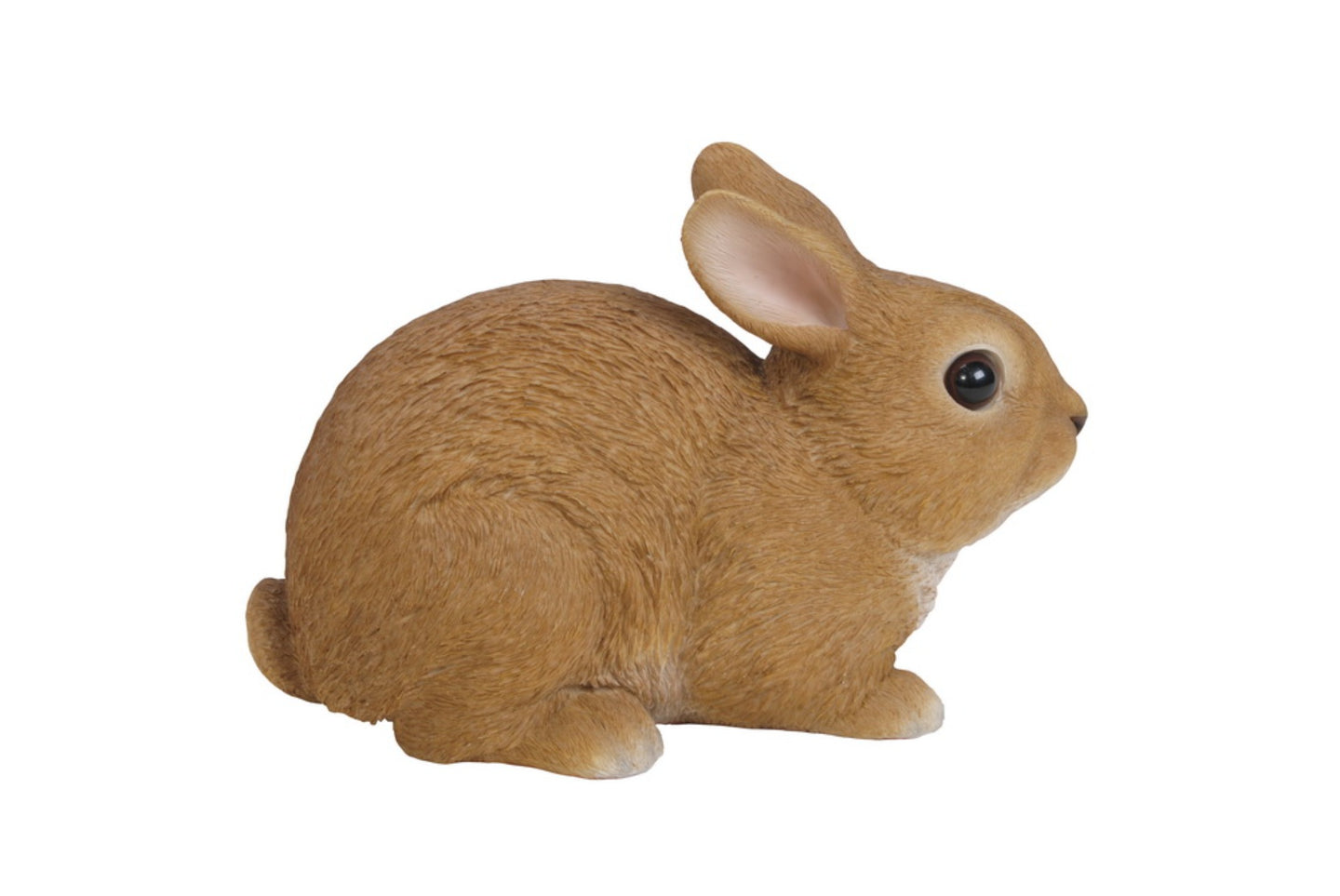 Sitting Rabbit