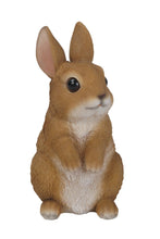 Load image into Gallery viewer, Small Standing Rabbit
