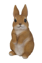 Load image into Gallery viewer, Small Standing Rabbit
