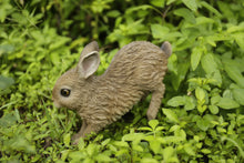 Load image into Gallery viewer, Hare Cub Running Statue
