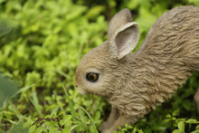 Load image into Gallery viewer, Hare Cub Running Statue
