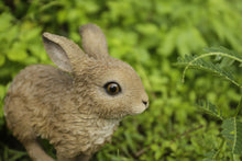 Load image into Gallery viewer, Hare Cub Jumping Statue
