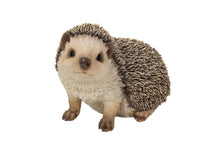 Load image into Gallery viewer, Crawling Hedgehog
