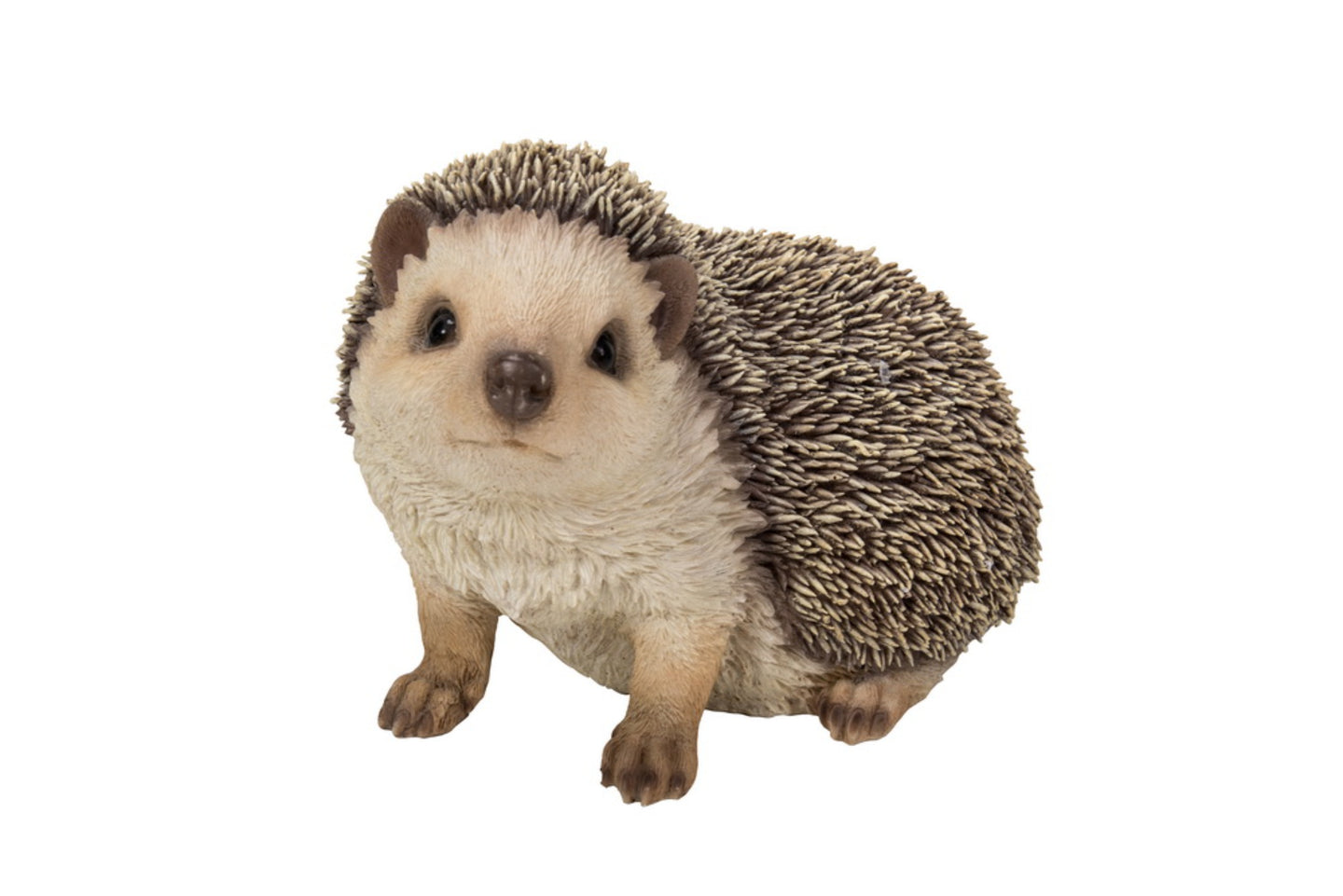 Crawling Hedgehog