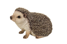 Load image into Gallery viewer, Crawling Hedgehog
