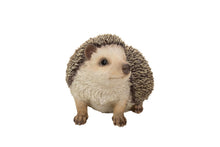 Load image into Gallery viewer, Crawling Hedgehog

