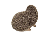 Load image into Gallery viewer, Crawling Hedgehog

