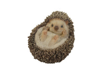 Load image into Gallery viewer, Hedgehog On Its Back
