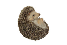 Load image into Gallery viewer, Hedgehog On Its Back
