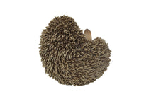 Load image into Gallery viewer, Hedgehog On Its Back
