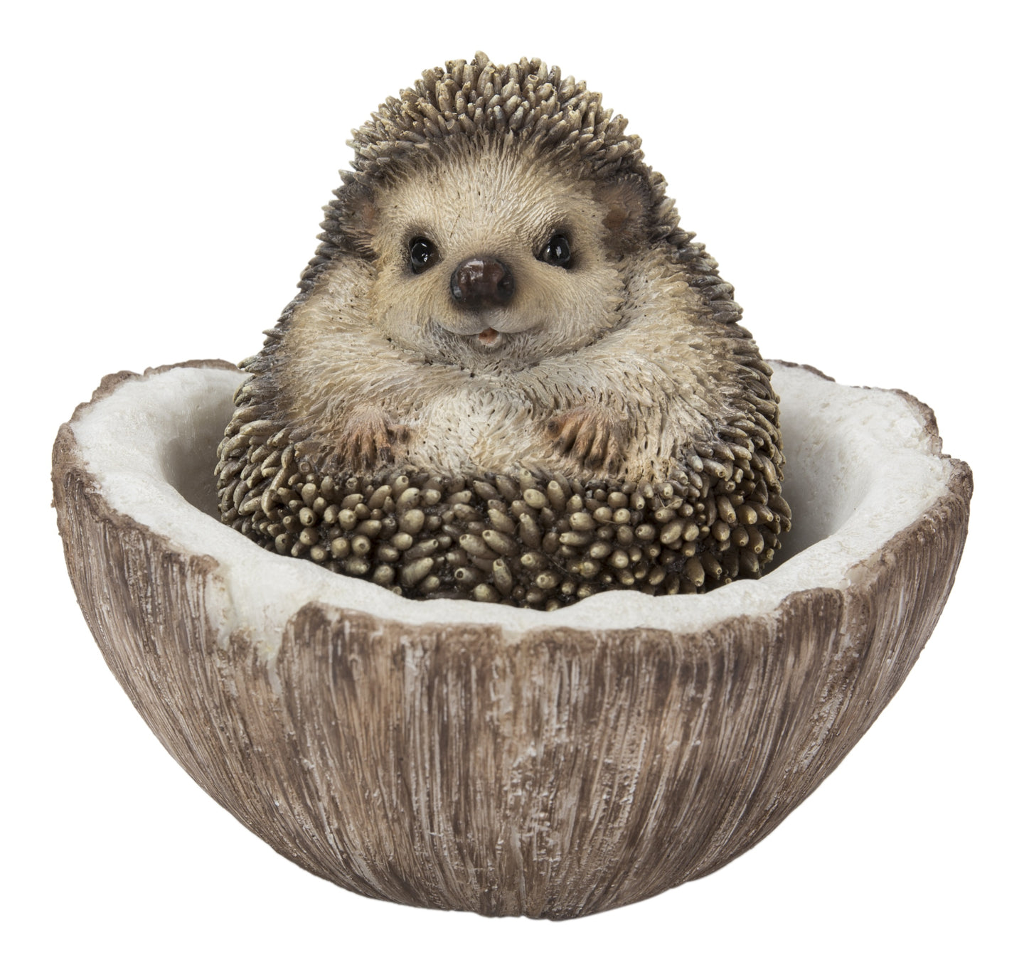 Coconut Hedgehog