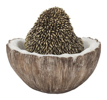 Load image into Gallery viewer, Coconut Hedgehog
