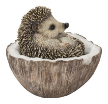 Load image into Gallery viewer, Coconut Hedgehog
