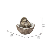 Load image into Gallery viewer, Coconut Hedgehog
