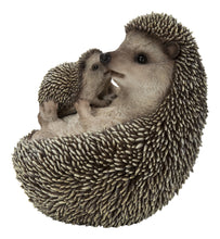 Load image into Gallery viewer, Mother &amp; Baby Hedgehogs On Back
